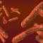 ebola-virus-2