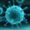 virus boala bacterie