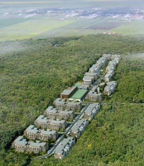 stejarii