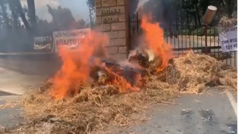 Video Protest Inedit N Cipru Fermierii Au Aruncat Laptele I Au Dat