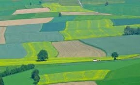 România, veșnic de râs! Localnicii unui sat din Argeș au început să împartă pământul după ce au aflat că se dă teren gratuit, deși nu erau proprietari