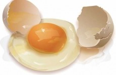 eggs_diet