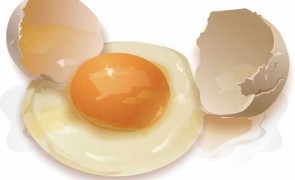 eggs_diet