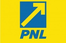 pnl logo