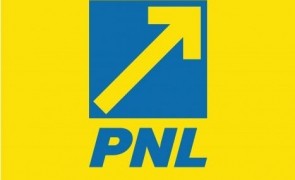 pnl logo