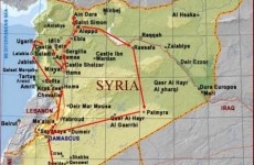 palmira siria