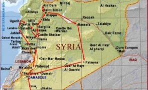 palmira siria