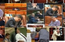 parlamentari dormind somn