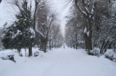 Parcul_Cismigiu_park_Bucharest_Bucuresti_Romania_winter_3