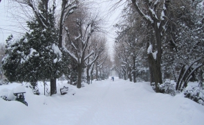 Parcul_Cismigiu_park_Bucharest_Bucuresti_Romania_winter_3