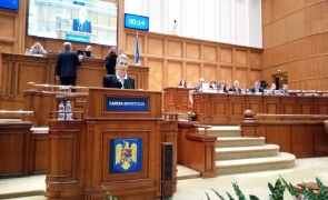 Raluca Turcan - Parlament