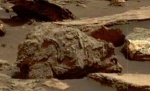 fosile Marte
