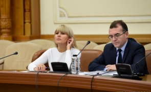 Elena Udrea Alexandru Chiciu avocat