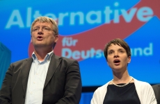 Jörg Meuthen, Frauke Petry, AfD