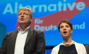 Jörg Meuthen, Frauke Petry, AfD