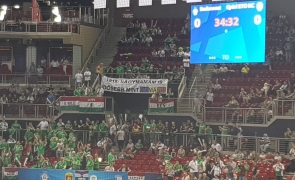 banner maghiari