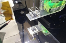 printare 3D celule