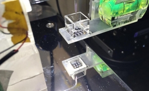 printare 3D celule