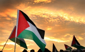 steag palestina