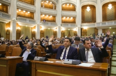 serban nicolae parlament