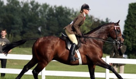 Tripla campioană olimpică Charlotte Dujardin se retrage de la JO după difuzarea unei înregistrări video în care apare lovindu-şi calul