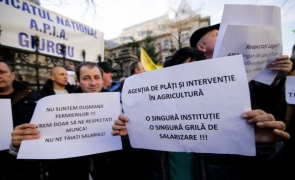 protest APIA la Guvern