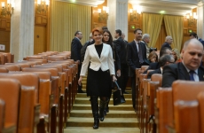 Lia Olguta Vasilescu parlament