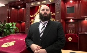 rabin Bruxelles