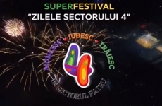 festival sector 4