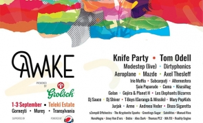 awake festival