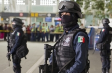 politie federala mexic