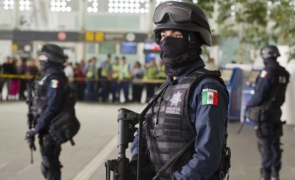 politie federala mexic