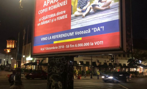 banner referendum