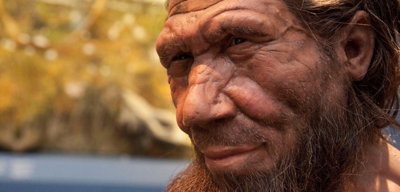 Cum să gătești ca un Neanderthal? Rețetele folosite pe vremuri