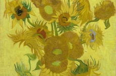 Floarea soarelui, de Vincent Van Gogh 2