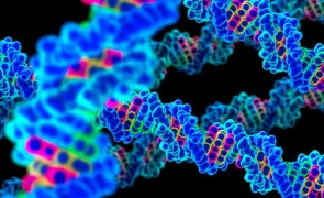 genom ADN