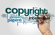 drepturi de autor copyright