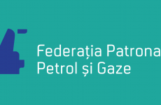 FPPG Federatia patronala petrol si gaze