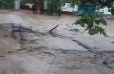 Inundație Alba