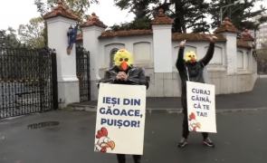 protest Cotroceni