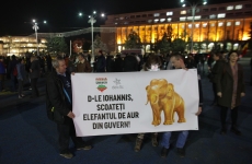 Inquam protest Roșia Montană