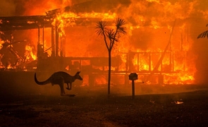 Australia incendii padure