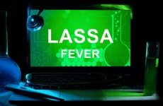 lassa fever febra Lassa