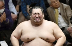Luptator sumo