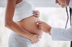 gravida sarcina