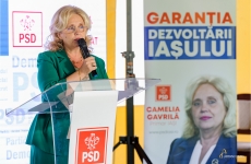 Camelia Gavrila