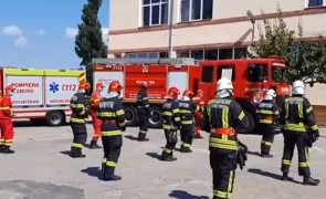 Pompieri Timiș