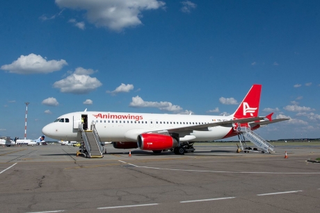 AnimaWings lansează luna aceasta două noi rute internaţionale, din Bucureşti spre Stockholm şi Nisa - Tarifele pornesc de la 59,99 euro pentru Stockholm