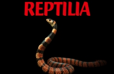Reptilia - Grigore Antipa