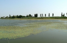Lacul Iezer Călărași